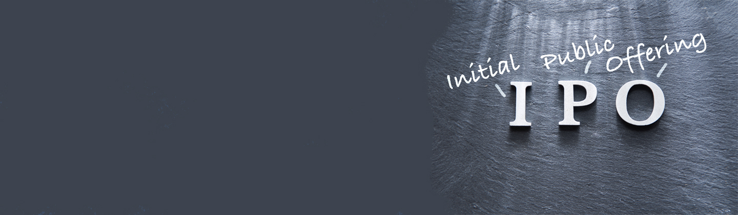 IPO (Initial Public Offering)
